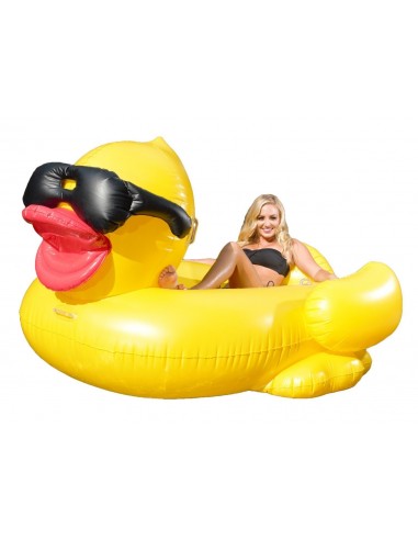 CANARD GEANT Lunette